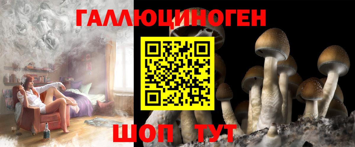 Калуга  Псилоцибиновые грибы MAGIC MUSHROOMS  Вход с VPN 